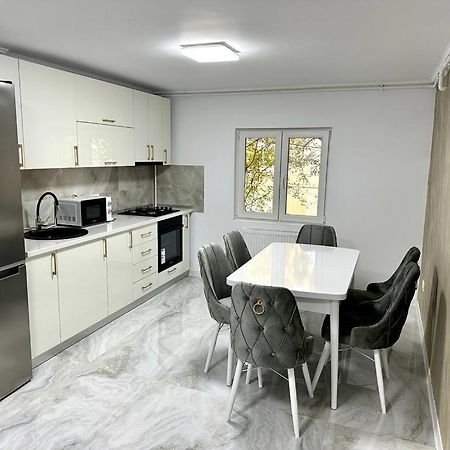 Elite Apartment Buzau Exterior foto